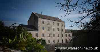 Bluestone's plans to open new restaurant serving lunch and cream teas