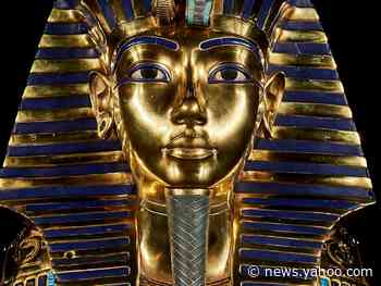 Egyptologists think they may have found the secret chamber where Queen Nefertiti was buried