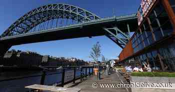Trays could be added to Tyne Bridge to prevent kittiwake poo falling on By the River Brew Co drinkers