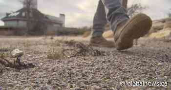 Saskatchewan unveils new strategy to fight aquatic invasive species