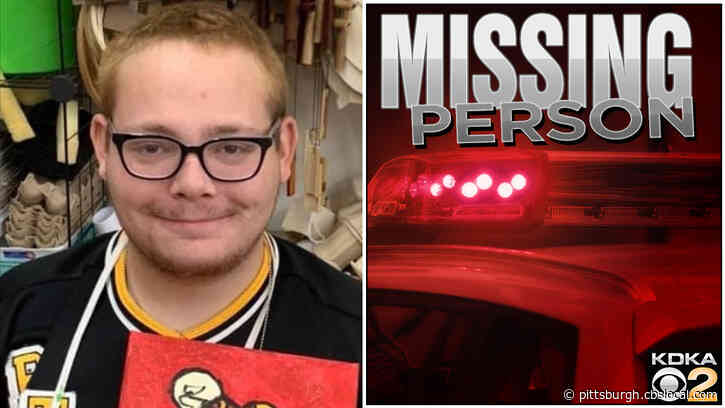 Bethel Park Police Looking For Missing 19-Year-Old Nathyn Hoffman Who Has Autism
