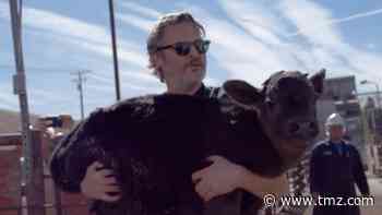 Joaquin Phoenix Saves Mama Cow and Her Calf After Oscars Speech