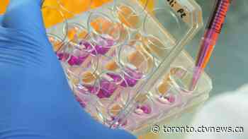 First Canadian coronavirus case now cleared of the virus: health officials