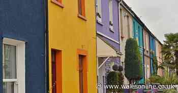 A house is up for sale on one of Cardiff's most colourful streets