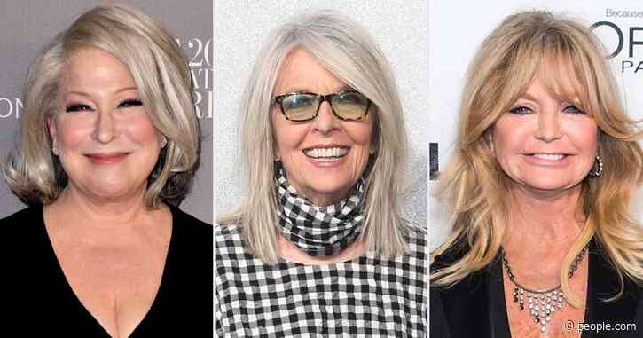 First Wives Club’s Goldie Hawn, Bette Midler and Diane Keaton to Reunite in New Movie (Reports)