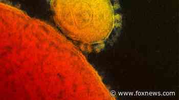 UT Austin announces coronavirus 'breakthrough' could help yield vaccine