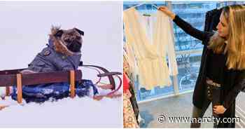 9 Things To Do In Toronto This Weekend, February 21 To 23 - Narcity