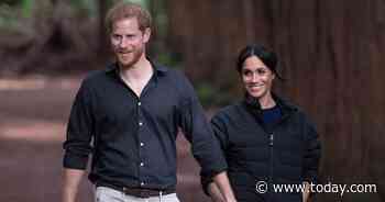 Prince Harry and Meghan Markle seen together for 1st time since royal 'step back'