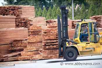 Budget 2020: Not much new for B.C.’s struggling forest industry - Abbotsford News