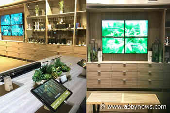 BC budtenders become first private cannabis workers to unionize in Canada - Abbotsford News