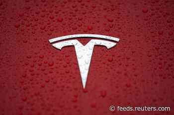 Tesla gets court approval to clear forest for German Gigafactory