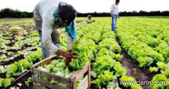 La provincia de Buenos Aires crea un registro de agropymes para asistir al sector - Clarín