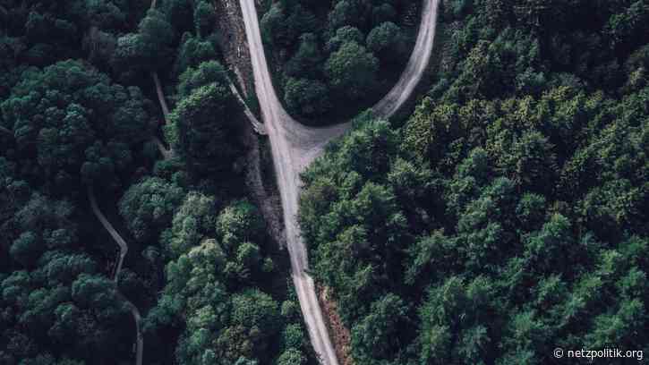 Algorithmische Entscheidungen: Warum das Scoring polnischer Arbeitssuchender gescheitert ist