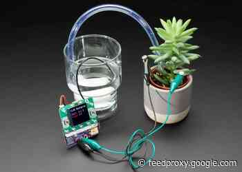 Bonsai Buckaroo plant care monitoring development board
