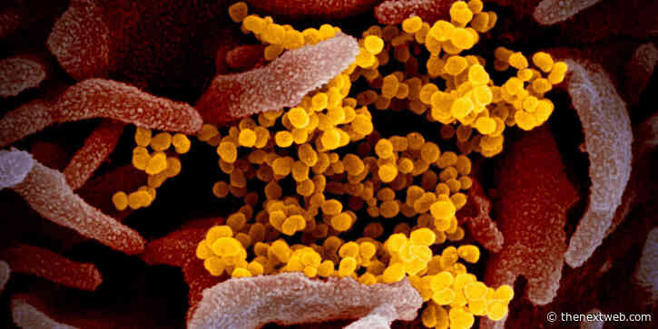 AI sent first coronavirus alert, but underestimated the danger