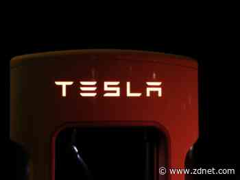 Musk addresses environmental concerns as forest clearance for new Gigafactory site resumes