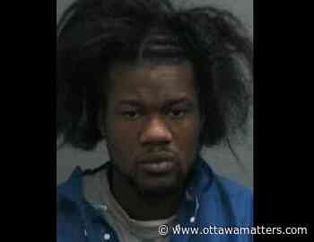 Last of 11 suspects remains at large in Ottawa shoplifting spree - OttawaMatters.com