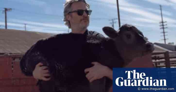 Joaquin Phoenix saves cow and calf from slaughterhouse