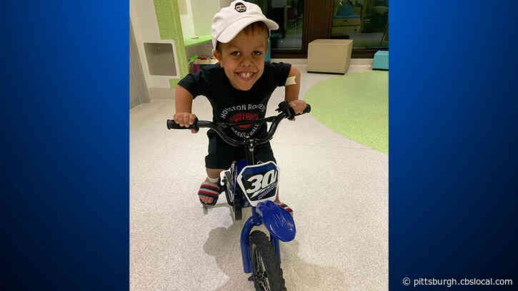 Celebrities, Including Comedian Brad Williams, Help Raise More Than $250,000 To Send Bullied 9-Year-Old Boy To Disneyland