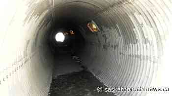 Council to look at pedestrian tunnel safety concerns in Saskatoon