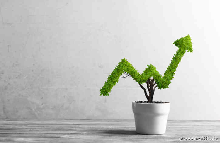 Bitcoin’s Flash Crash was a “Healthy Pullback” That Could Catalyze Major Momentum