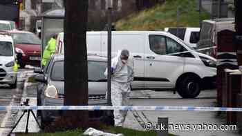 Police name two men killed in cannabis farm raid disorder