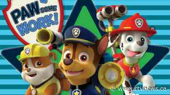 Spin Master to turn 'Paw Patrol' into first of multiple feature films