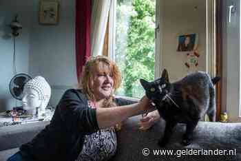 Internaat-meisje Els Dijks: ‘Ik wilde betaald worden voor drie jaar kinderarbeid: dat is nu gebeurd’