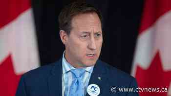 MacKay calls Edmonton counter-protesters 'Good Samaritans' - CTV News