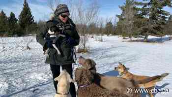 Dog walkers, customer opposes proposed limit to off-leash dogs