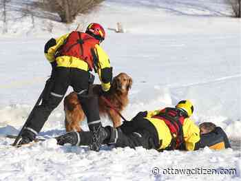No ice is safe ice, first responders say as they simulate dog-walker rescue