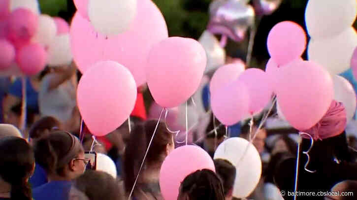 Statewide Balloon Release Ban Passes General Assembly, Heads To Governor’s Desk