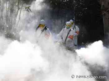 More than 100 wild animals in China died from poisoning in a mass die-off seemingly triggered by coronavirus disinfectant