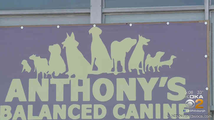 29-Year-Old Man Accused Of Sexually Harassing 17-Year-Old Girl At Work