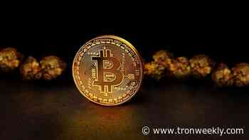 The Importance of Consumer Awareness in the Cryptocurrency Industry - TWJ News