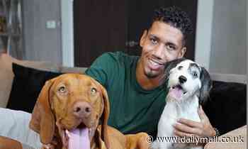 Manchester United's Chris Smalling 'left devastated after his dog dies of suspected poisoning'