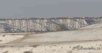 Statistics Canada numbers indicate Lethbridge is one of the most youthful cities in the country