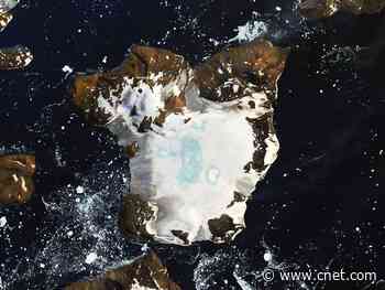 NASA satellite captures Antarctica melting during heat wave     - CNET