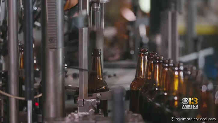 Craft Breweries Surging In Popularity Including In Maryland, Research Finds