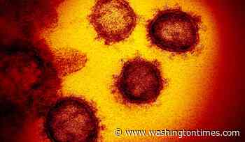 Report: Houston company says it developed coronavirus vaccine, will start animal testing - Washington Times
