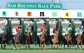 Saturday At Sam Houston: Picks And Analysis By Chris Griffin And Fred Faour For Texas Preview Day - Horse Racing News - Paulick Report
