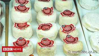 Can computer translators ever beat speaking a foreign tongue?