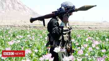 Afghanistan war: US and Afghan Taliban start partial truce