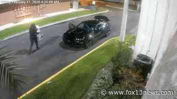 Medical marijuana dispensaries in Clearwater ransacked - FOX 13 Tampa Bay