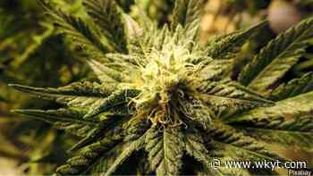 Gov. Beshear comments on House passing medical marijuana bill - WKYT