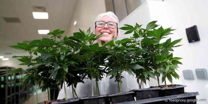 A group of cannabis investors just raised $225 million to buy up real estate in a tough market. Here's how they put the deal together.