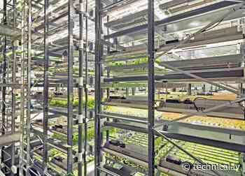 Bowery is sprouting in Baltimore with a new automated indoor farm - Technical.ly