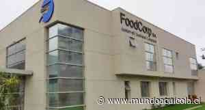 FoodCorp aumentará producción de su planta de congelados en Coronel en un 200% - Mundo Acuícola