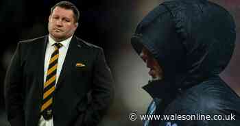 Ospreys not interested in Dai Young as Englishman now favourite for head coach job