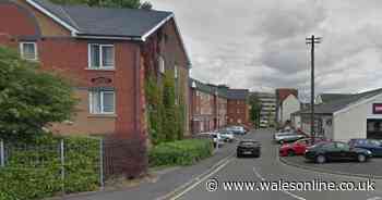 Man likened to 'crazed animal' wielded baseball bat while chasing after car park attendant